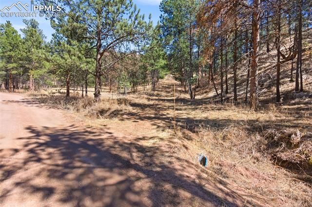 11070 W Highway 24, Cascade, CO 80819