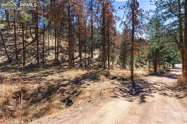 11070 W Highway 24, Cascade, CO 80819