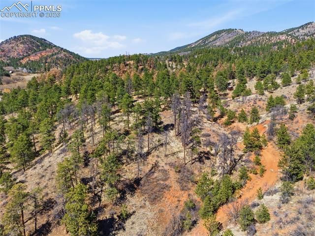 11070 W Highway 24, Cascade, CO 80819