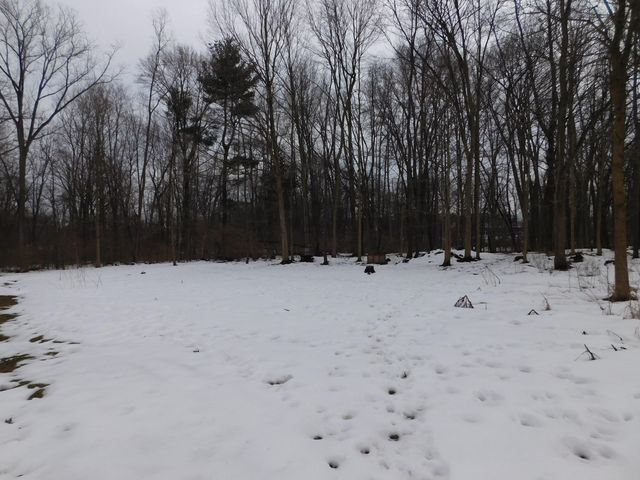 1050 Pine Street, Niles City, MI 49120