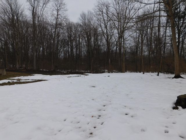 1050 Pine Street, Niles City, MI 49120