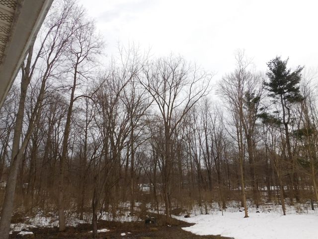 1050 Pine Street, Niles City, MI 49120