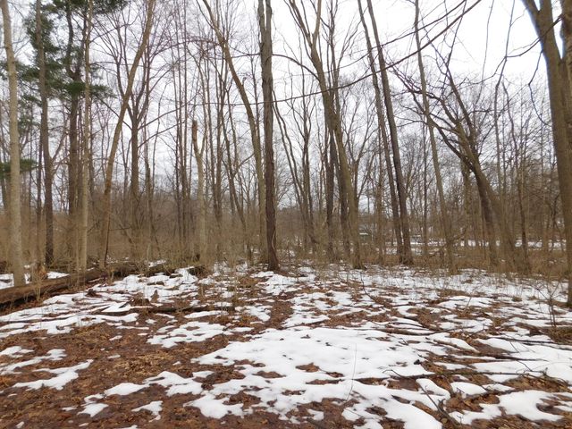 1050 Pine Street, Niles City, MI 49120