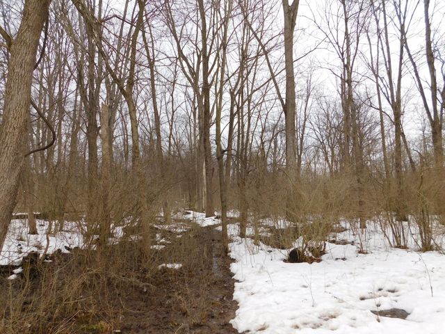 1050 Pine Street, Niles City, MI 49120