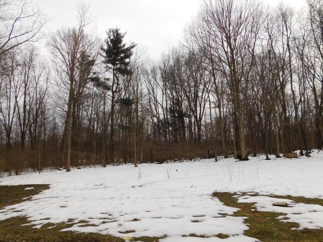 1050 Pine Street, Niles City, MI 49120