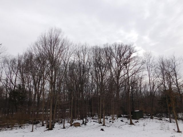 1050 Pine Street, Niles City, MI 49120