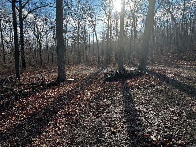 2111 Backbone Road, Cabot, AR 72023