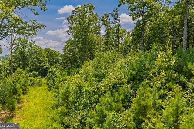 LOT 166 Pinnacle Drive 166, Ellijay, GA 30540