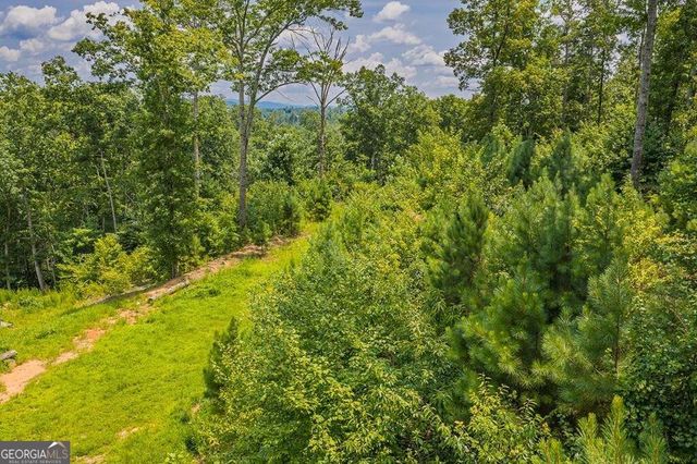 LOT 166 Pinnacle Drive 166, Ellijay, GA 30540