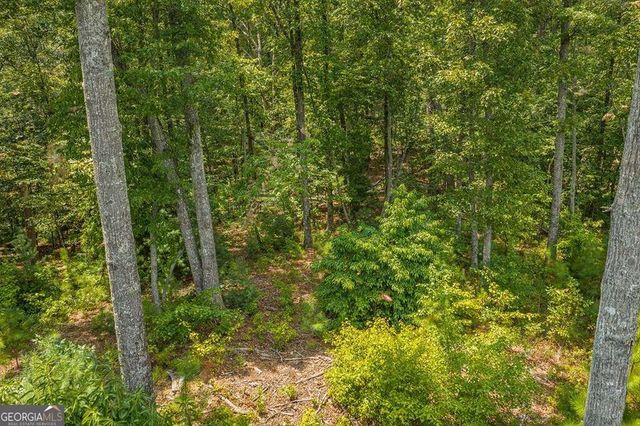LOT 166 Pinnacle Drive 166, Ellijay, GA 30540