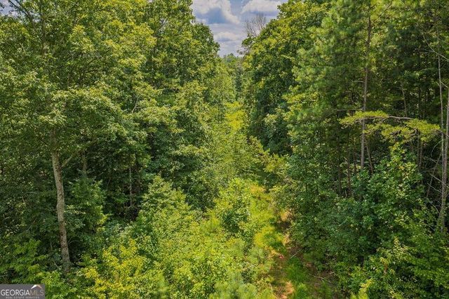 LOT 166 Pinnacle Drive 166, Ellijay, GA 30540