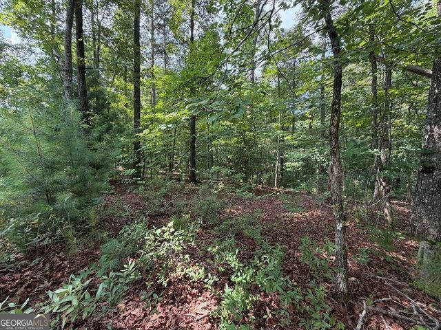 LOT 166 Pinnacle Drive 166, Ellijay, GA 30540