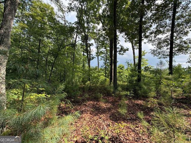 LOT 166 Pinnacle Drive 166, Ellijay, GA 30540