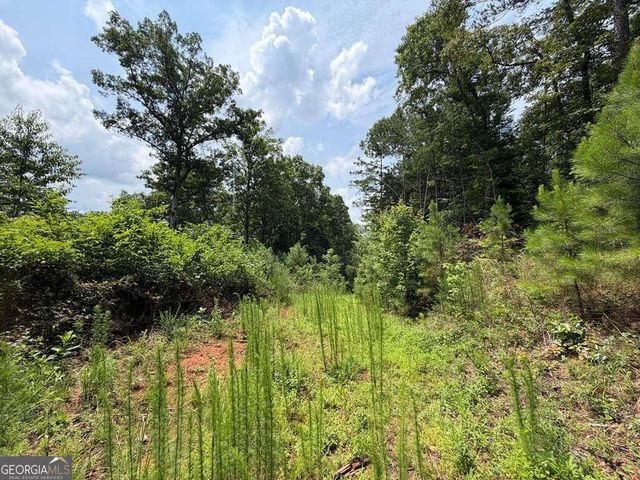 LOT 166 Pinnacle Drive 166, Ellijay, GA 30540