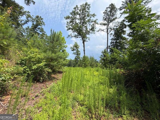 LOT 166 Pinnacle Drive 166, Ellijay, GA 30540