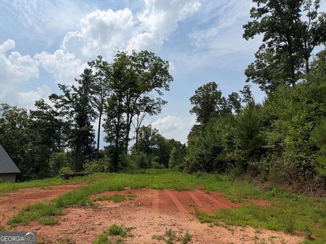 LOT 166 Pinnacle Drive 166, Ellijay, GA 30540