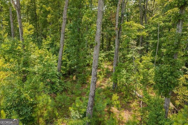 LOT 166 Pinnacle Drive 166, Ellijay, GA 30540