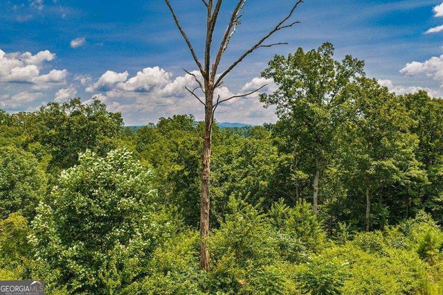 LOT 166 Pinnacle Drive 166, Ellijay, GA 30540