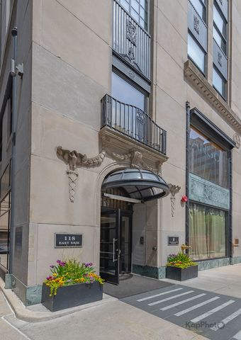 118 E Erie Street 18D, Chicago, IL 60611