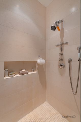 118 E Erie Street 18D, Chicago, IL 60611