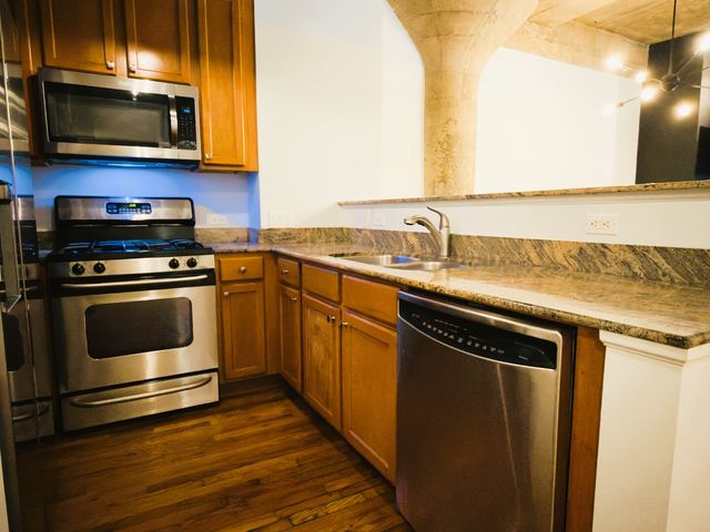 1070 W 15th Street 204, Chicago, IL 60608