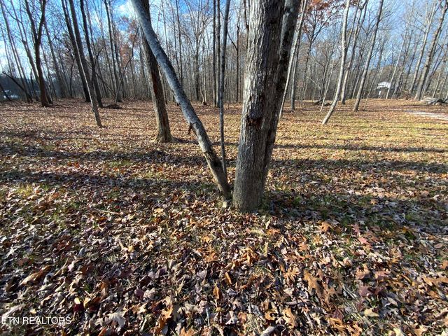 436 Pilot Mountain Rd, Lancing, TN 37770