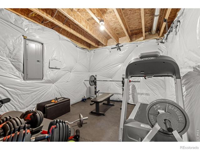 7409 Rosecroft Drive, Windsor, CO 80550