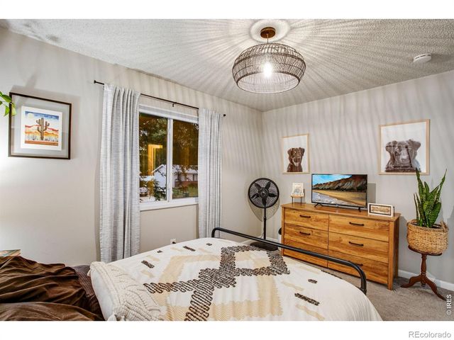 561 10th Street, Windsor, CO 80550