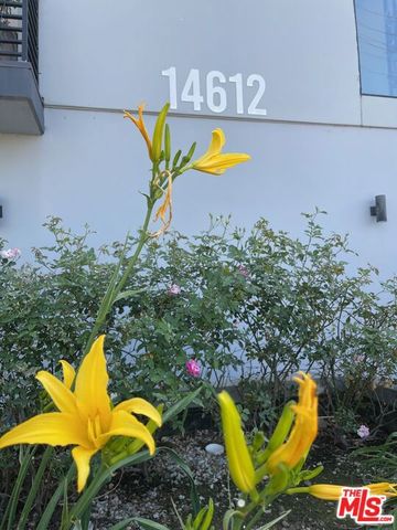 14612 Calvert Street 202, Van Nuys, CA 91411