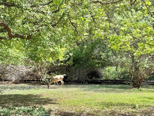 1310 Warbler Dr, Kerrville, TX 78028