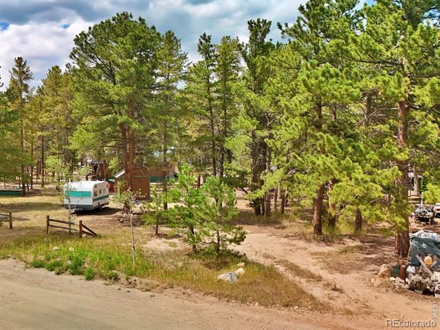 655 W Spruce Street, Nederland, CO 80466