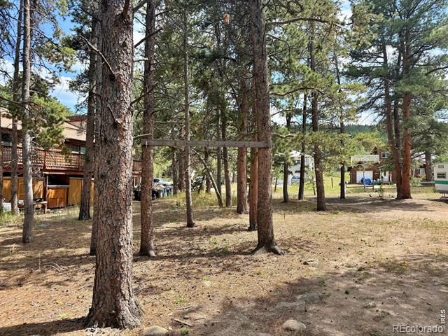 655 W Spruce Street, Nederland, CO 80466