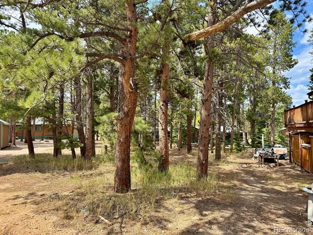 655 W Spruce Street, Nederland, CO 80466