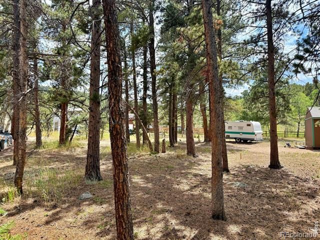 655 W Spruce Street, Nederland, CO 80466
