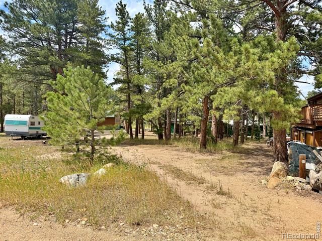 655 W Spruce Street, Nederland, CO 80466