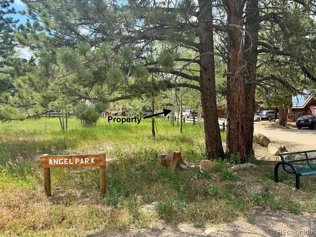 655 W Spruce Street, Nederland, CO 80466