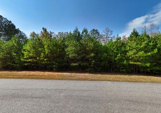 lot 43 Water Oak Lane, Blairsville, GA 30512