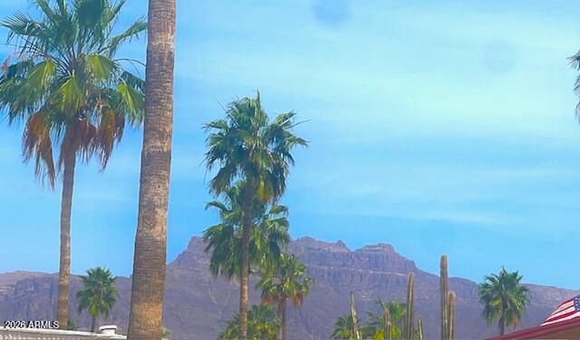 2605 S TOMAHAWK Road 170, Apache Junction, AZ 85119