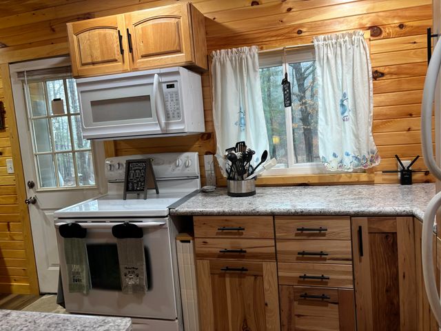 9520 S Rainbow Lake Drive, Lake Twp, MI 49304