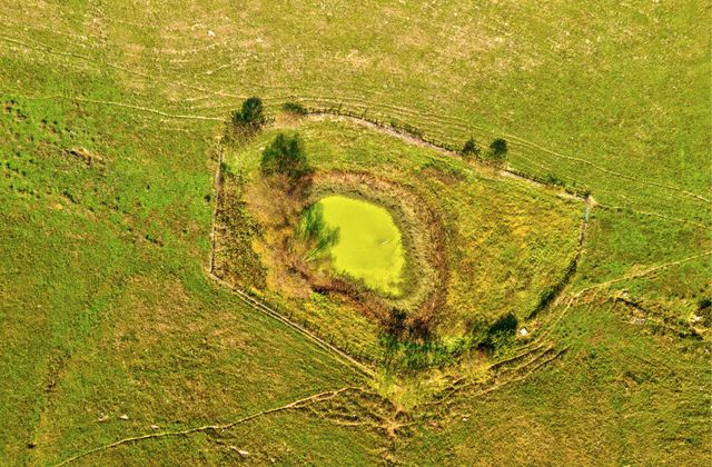 1332 Paris Road, Mt Sterling, KY 40353