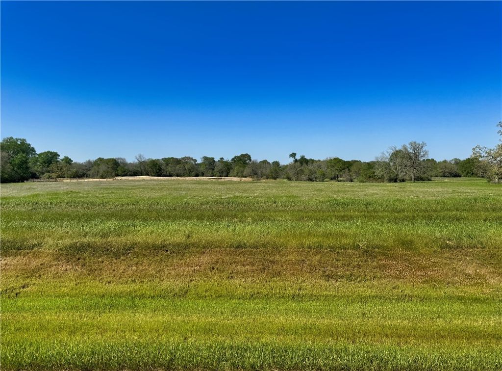 10078 Hidden Pond Drive, Iola, TX 77861 — exterior