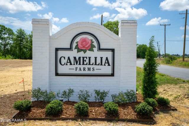 6922 Camille Lane, Maurice, LA 70555