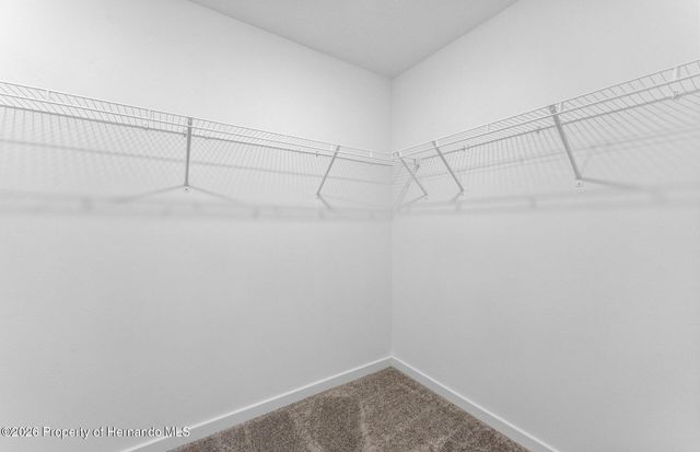 3727 Hornbeam Road, Spring Hill, FL 34609