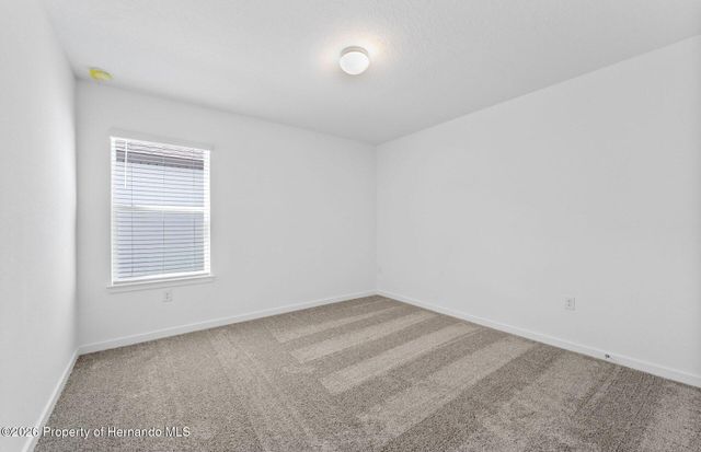 3727 Hornbeam Road, Spring Hill, FL 34609