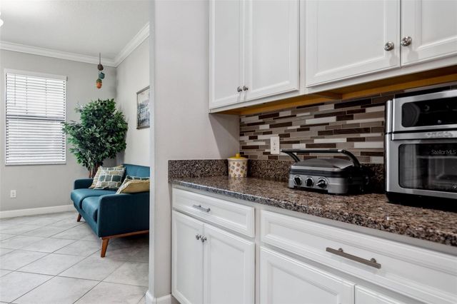 16312 HYDE MANOR DRIVE, Tampa, FL 33647