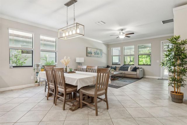 16312 HYDE MANOR DRIVE, Tampa, FL 33647