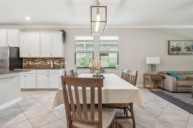 16312 HYDE MANOR DRIVE, Tampa, FL 33647