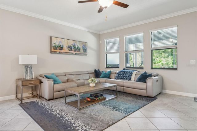 16312 HYDE MANOR DRIVE, Tampa, FL 33647