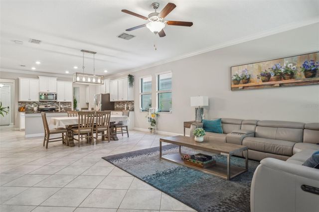 16312 HYDE MANOR DRIVE, Tampa, FL 33647