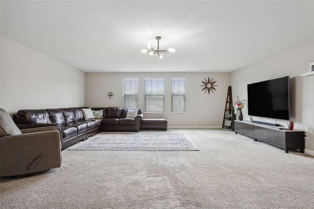 16312 HYDE MANOR DRIVE, Tampa, FL 33647